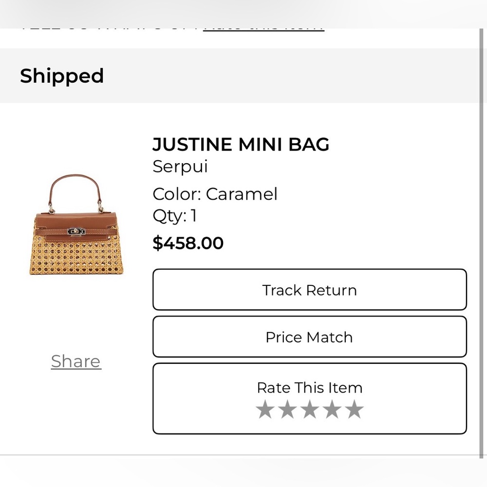 Serpui Justine Bag - Purchased on Revolve! - Picture 5 of 5